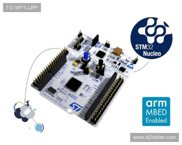 PA8网站用户注册与登录功能实现详细教程新手快速掌握
